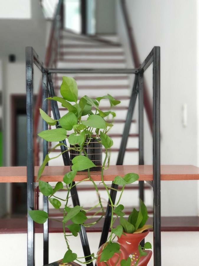 T P House 3 Daire Son Tra Dış mekan fotoğraf